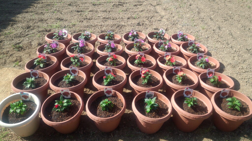 20140502 151511 Android