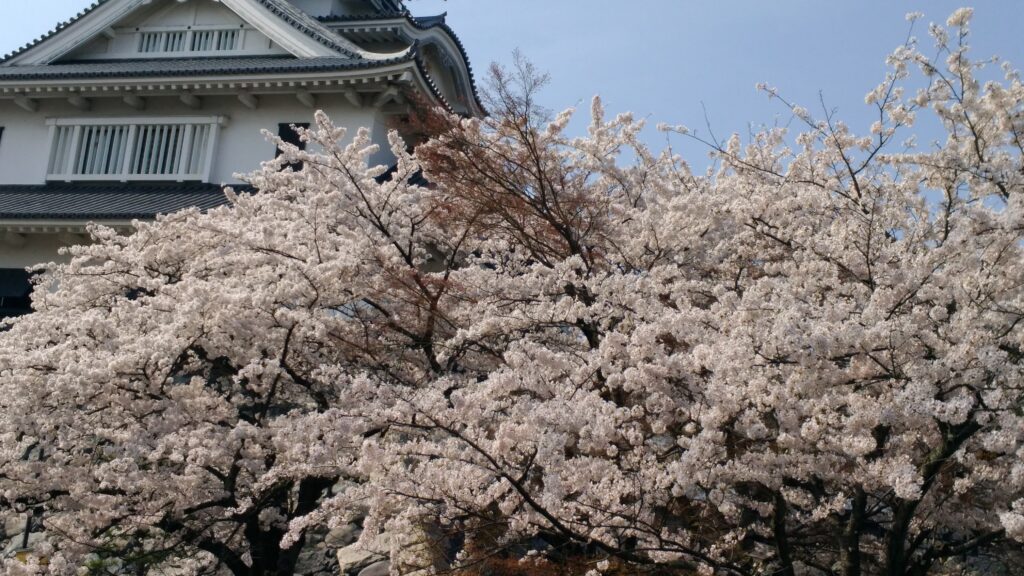 P 20180403 142708 vHDR On